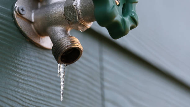 Best Shower Repair Services  in Catlettsburg, KY